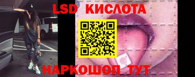 хмурый Сланцы