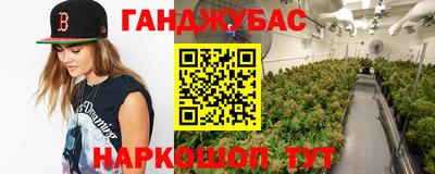 хмурый Сланцы