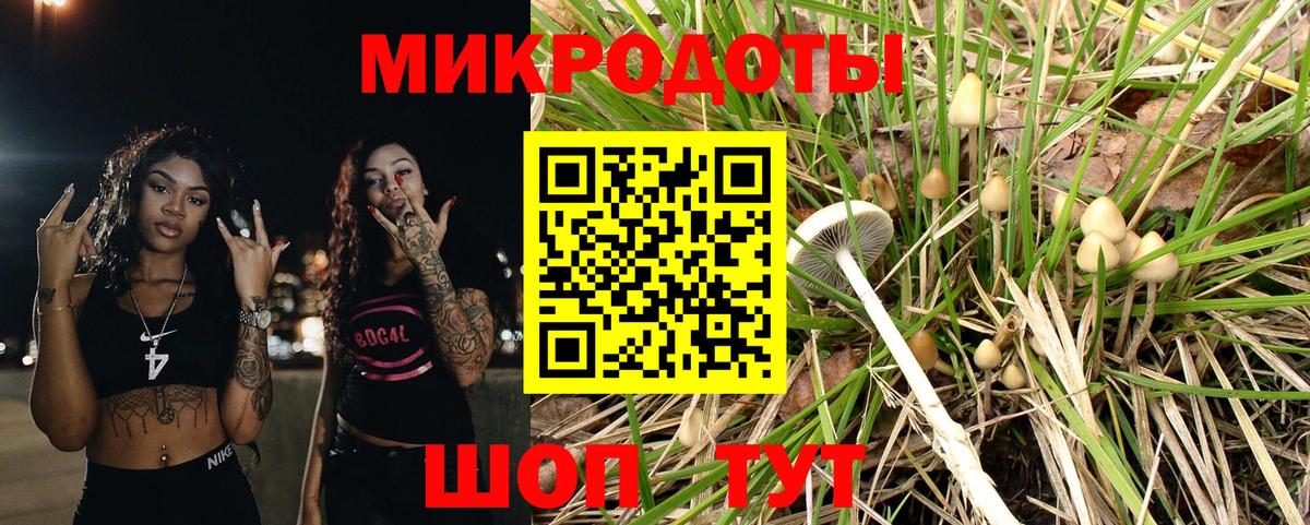 Галлюциногенные грибы GOLDEN TEACHER  Галлюциногенные грибы Psilocybe  Алексеевка  Вход с VPN 